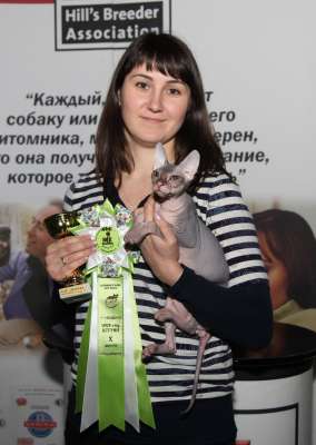 �������� ����� '������� ���-�����' 30 ������-1 ������� 2013., WCF-����� 3093